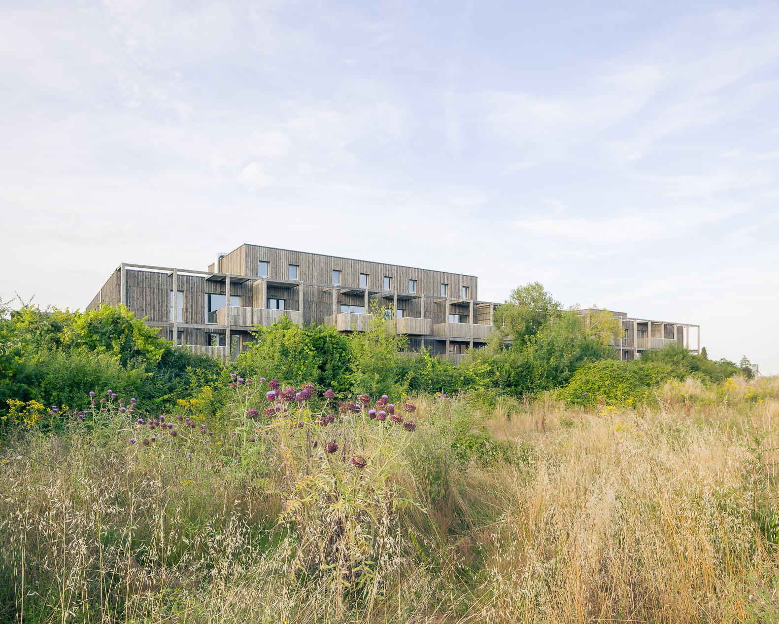 Hammeau des champs